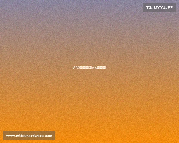 WNG电子竞技俱乐部—wlg电子竞技俱乐